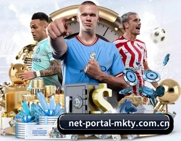 net-portal-mkty.com.cn的故事